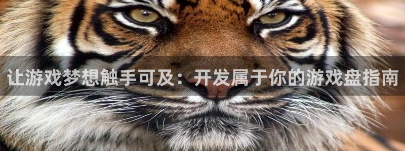 沐鸣娱乐2可靠吗
