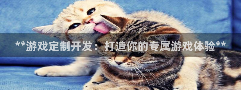 沐鸣2平台官网