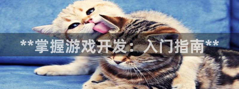 沐鸣娱乐2如何找回密码