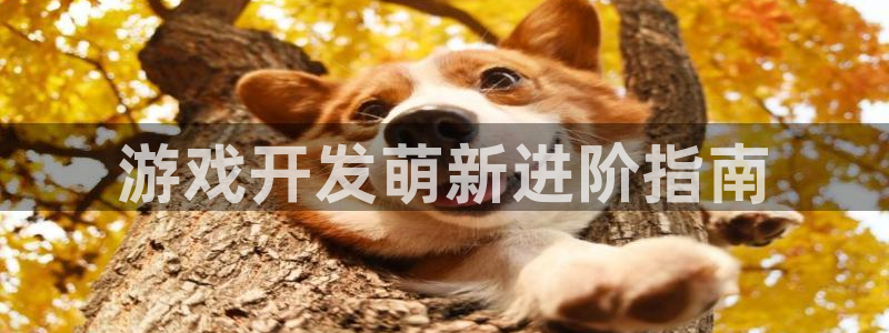 沐鸣2登录注册