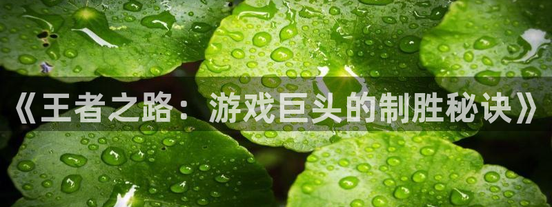 沐鸣娱乐2上来77542