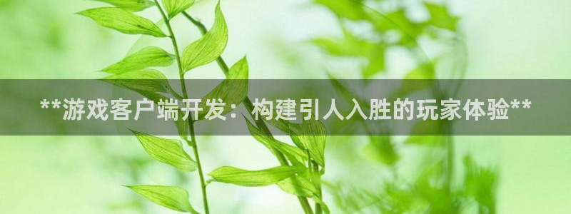 沐鸣娱乐2多彩平台