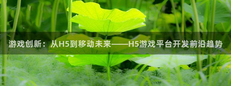 沐鸣2代理注册：游戏创新：从H5到移动未来——H5游戏平台开发前沿趋势