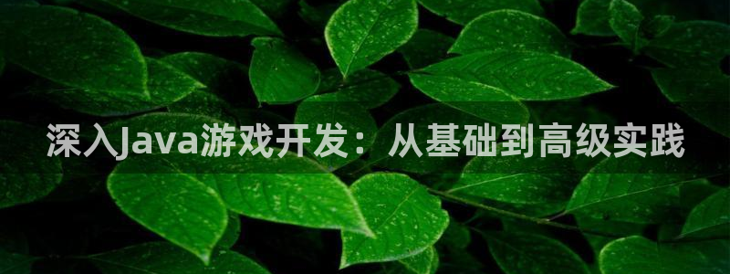 沐鸣2平台关7O777