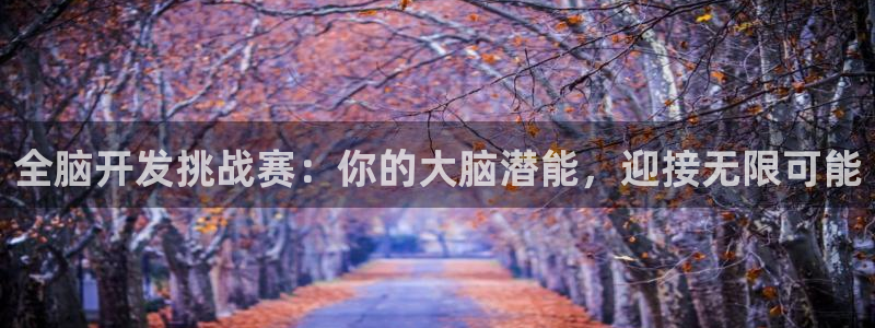 沐鸣2票35994度：全脑开发挑战赛：你的大脑潜能，迎接无限可能