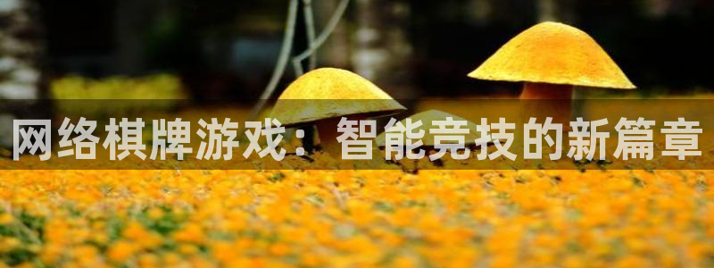 沐鸣2注册：网络棋牌游戏：智能竞技的新篇章