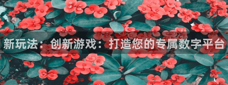沐鸣2输钱能要回来吗：新玩法：创新游戏：打造您的专属数字平台