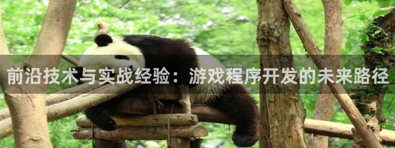 沐鸣2注册首页：前沿技术与实战经验：游戏程序开发的未来路径