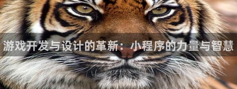 沐鸣2娱乐平台注册：游戏开发与设计的革新：小程序的力量与智慧