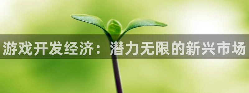 沐鸣2娱乐平台注册：游戏开发经济：潜力无限的新兴市场