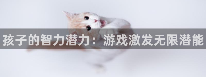 沐鸣娱乐平台2注册：孩子的智力潜力：游戏激发无限潜能