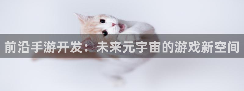 沐鸣娱乐2手机版：前沿手游开发：未来元宇宙的游戏新空间