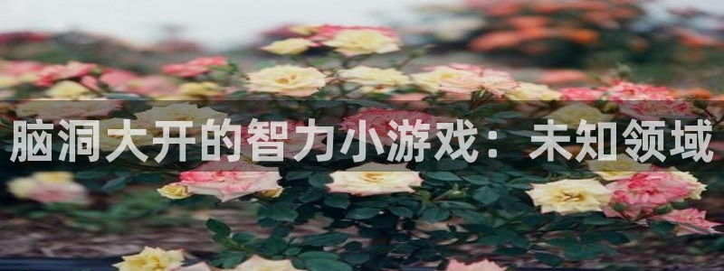 沐鸣2注册平台：脑洞大开的智力小游戏：未知领域