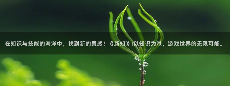 沐鸣娱乐2官方网站：在知识与技能的海洋中，找到新的灵感！《新知》:以知识为基，游戏世界的无限可能。