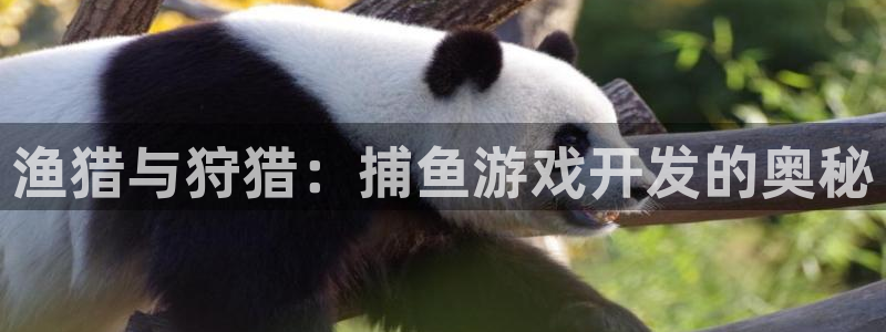 沐鸣2撤35994还和：渔猎与狩猎：捕鱼游戏开发的奥秘